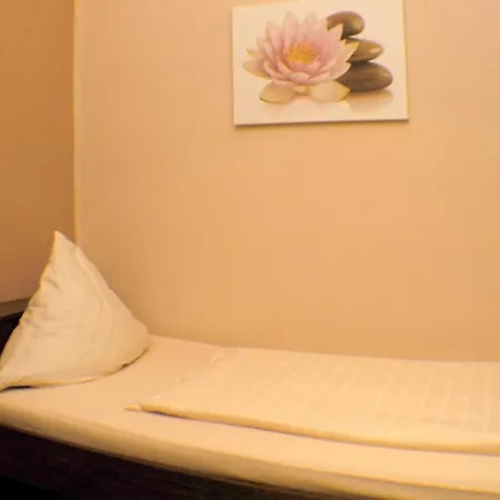 Hotel Hotel-restaurant Moselbluemchen Bernkastel-Kues