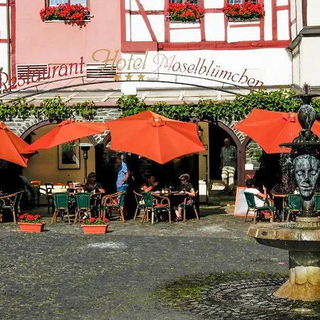 Hotel-restaurant Moselbluemchen 3*